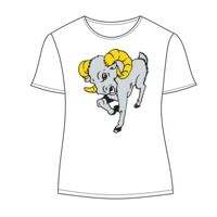 Ladies' Keepsake Vintage Jersey T-Shirt Thumbnail