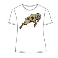 Ladies' Keepsake Vintage Jersey T-Shirt Thumbnail