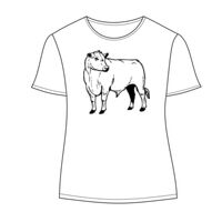 Ladies' Keepsake Vintage Jersey T-Shirt Thumbnail