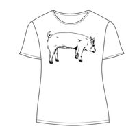 Ladies' Keepsake Vintage Jersey T-Shirt Thumbnail