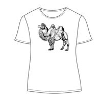 Ladies' Keepsake Vintage Jersey T-Shirt Thumbnail